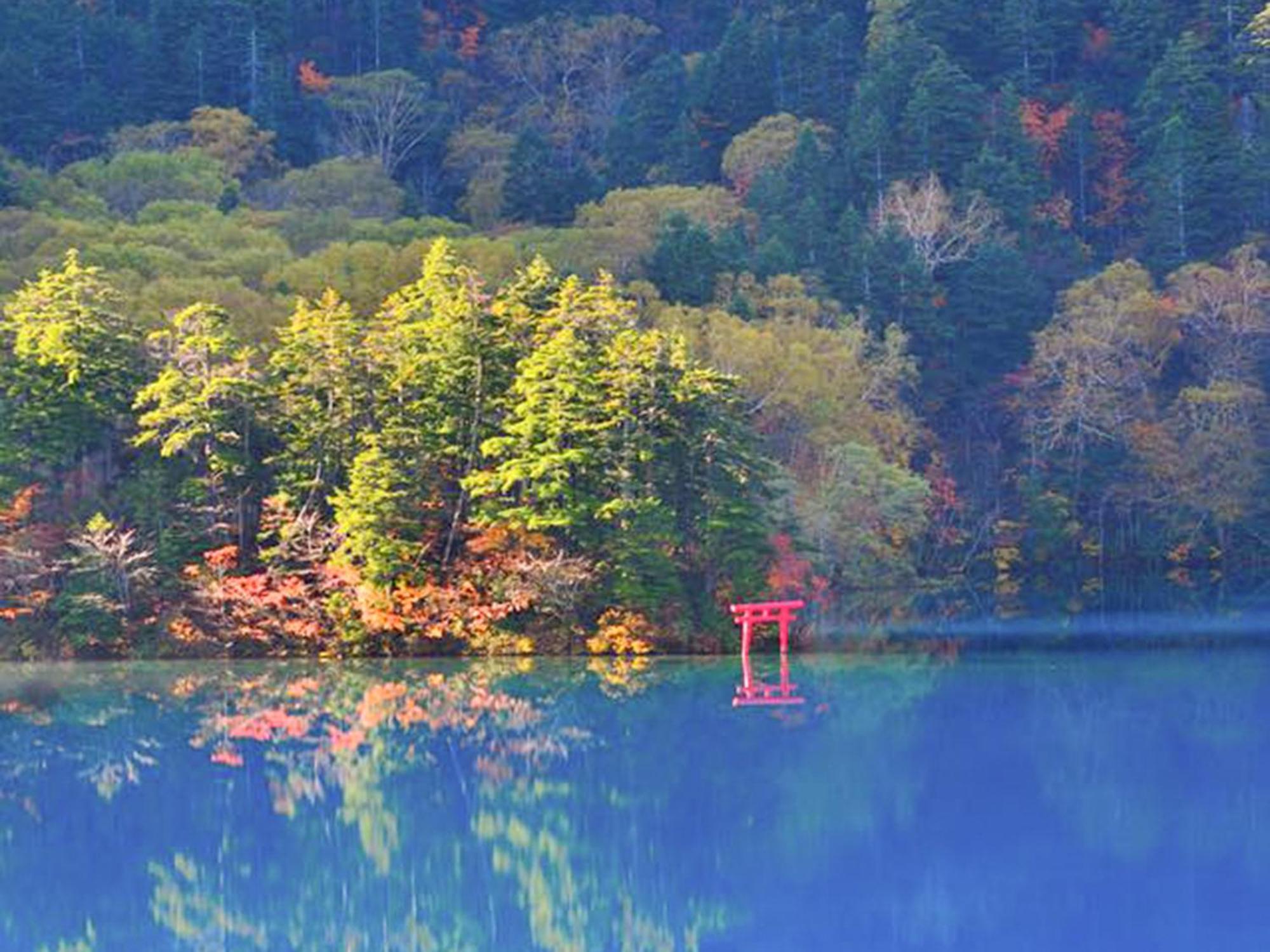 Shiga Kogen Lodge Yamanouchi  Bagian luar foto